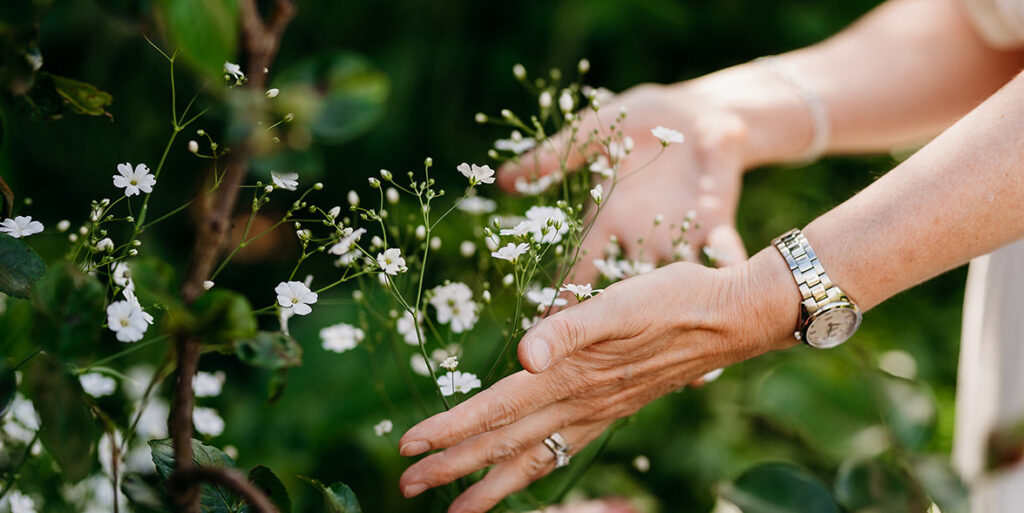 Mindfulness - hands touching plants